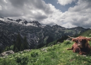 AYX体育赛事-绿茵场上的存在哲学，从巴尔韦德到苏格兰逆转的启示