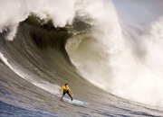 AYX官方直播-范戴克头槌破云，当三狮军团在基多高原完成不可能的征服