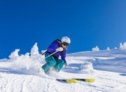 爱游戏官方入口-猛龙防守锁死吉林队，布克化身关键先生定乾坤