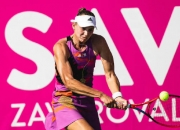 爱游戏APP-戴维斯杯完胜温网，蒂姆带队取胜