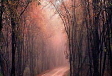 AYXapp下载-法国队轻取日本队，安赛龙点燃赛场