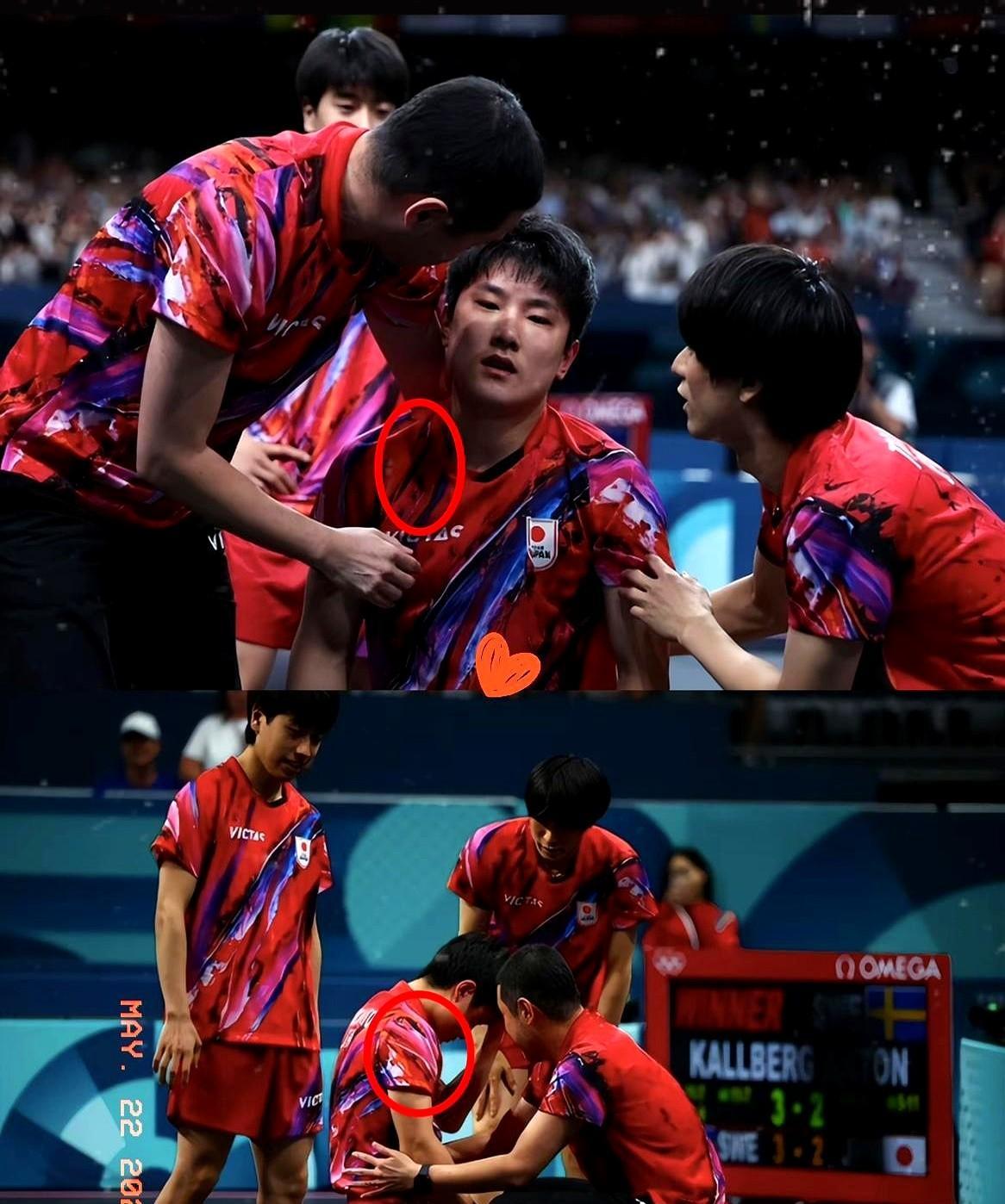 奥地利队鏖战法国队，张本智和刷新纪录