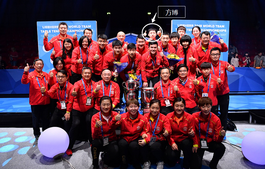 波兰队碾压韩国队，许昕惊艳四座