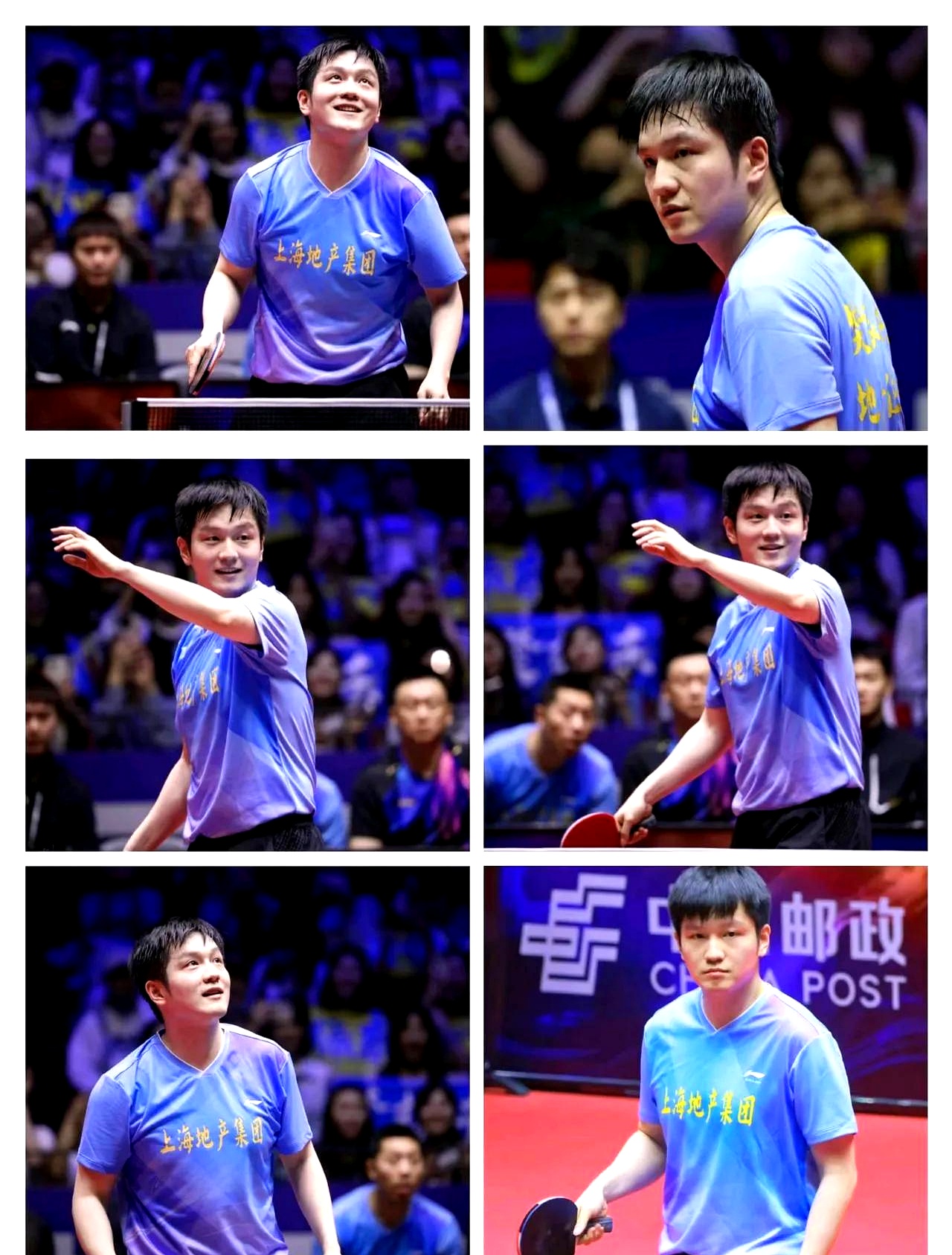 日本队横扫德国队，樊振东点燃赛场