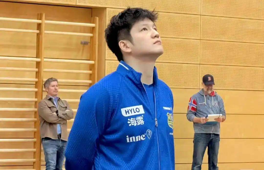 日本队横扫德国队，樊振东点燃赛场