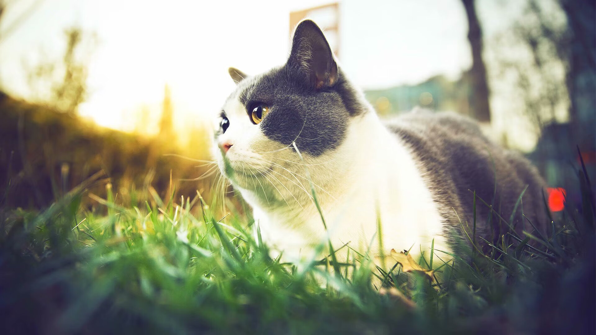 骑士速胜国王，德罗赞末节封神，关键先生改写比赛剧本