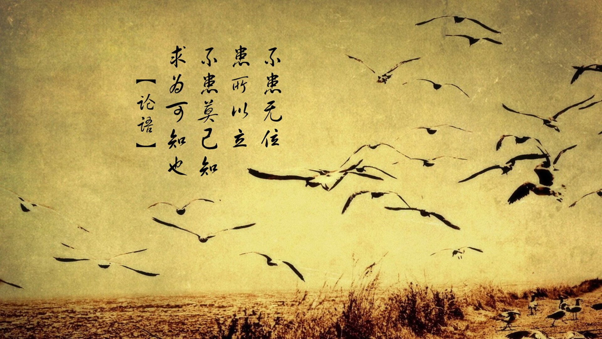 厄德高魔法之夜，卡塔尔斩落摩纳哥，年度焦点战见证新王接管